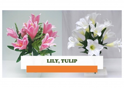 Lily , Tulip